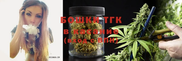 гидропоника Богданович