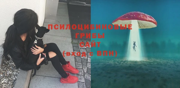 a pvp Белоозёрский