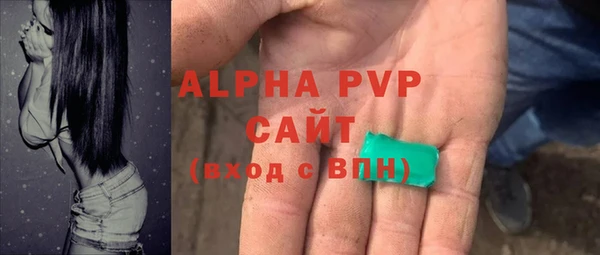 стаф Богородск