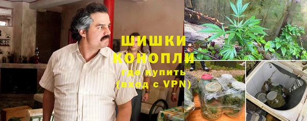 гидропоника Богданович
