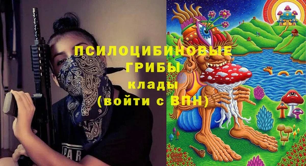 стаф Богородск