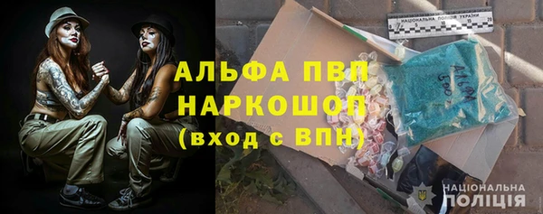 стаф Богородск